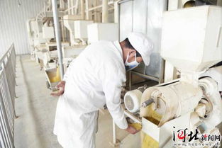 河北省农产品加工业发展大会将于6月18日举行